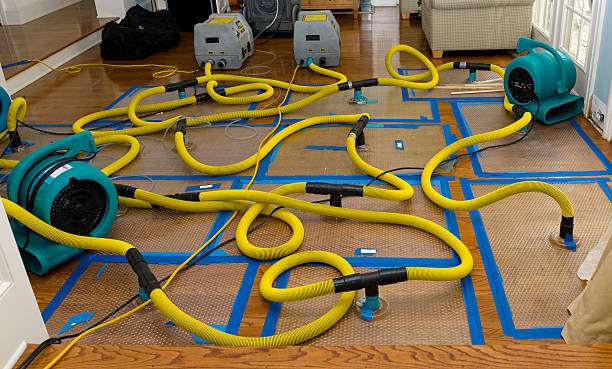 Professional Water Damage Repair technician working in Hillsborough, NC